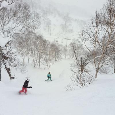 Foto Reiseziel Skireise Japan