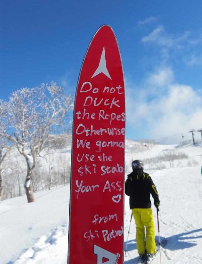 Titelbild Blogpost Skireise Japan