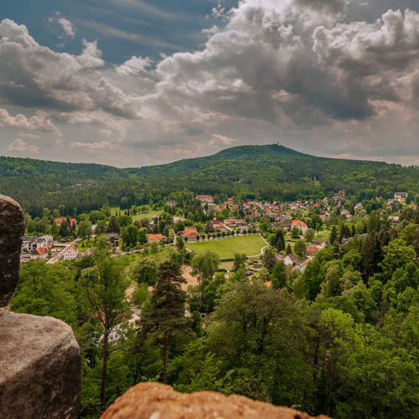TeichTouristik Reiseveranstalter, Planung von Busreisen und