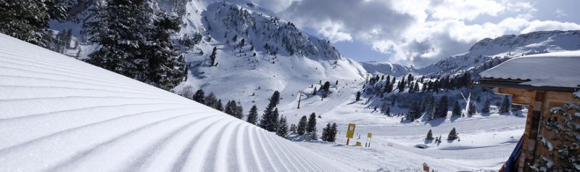 Titelbild Reiseziel: Ski-Schaukel Val di Fiemme